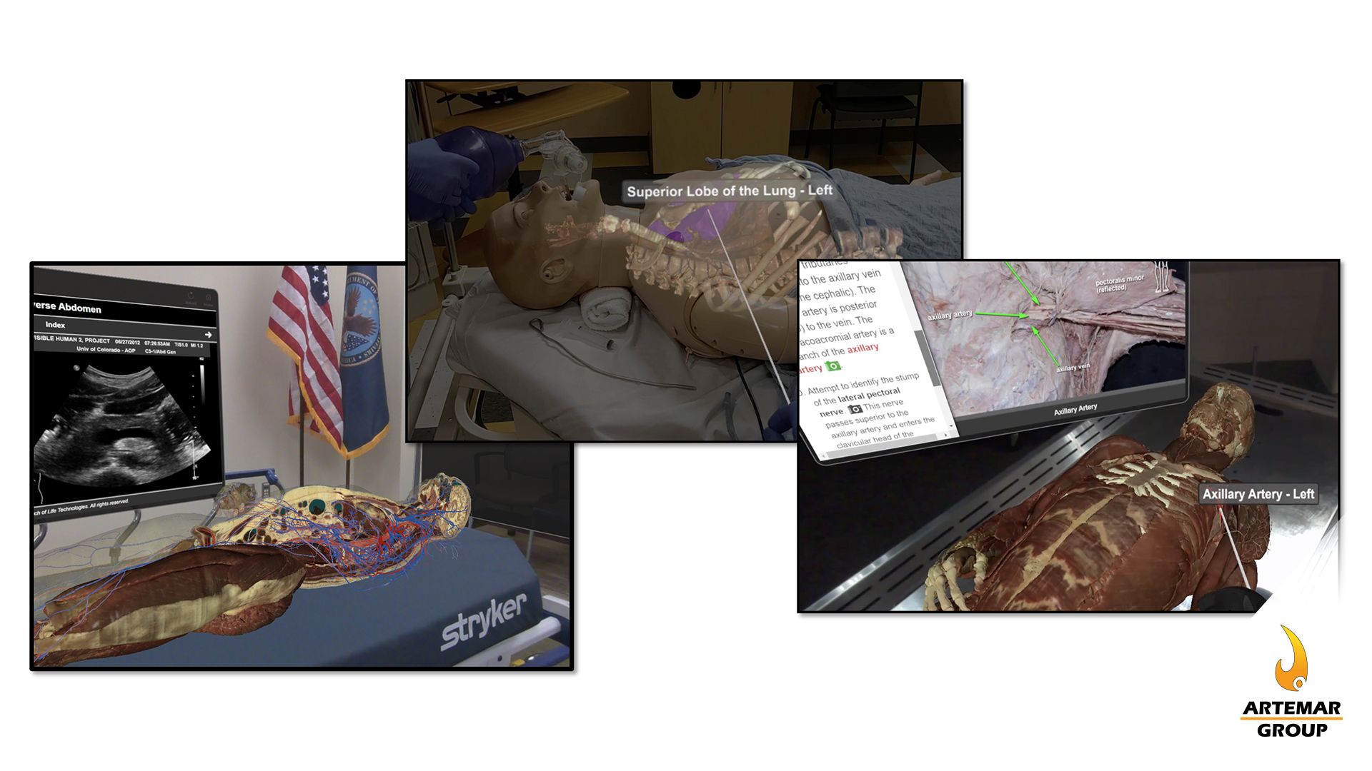 Toltech: educación anatómica con Realidad Virtual y Mixta